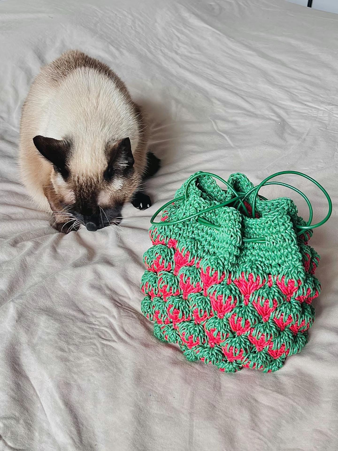 Strawberry Pouch Crochet Pattern – Summer Fruit Handbag PDF