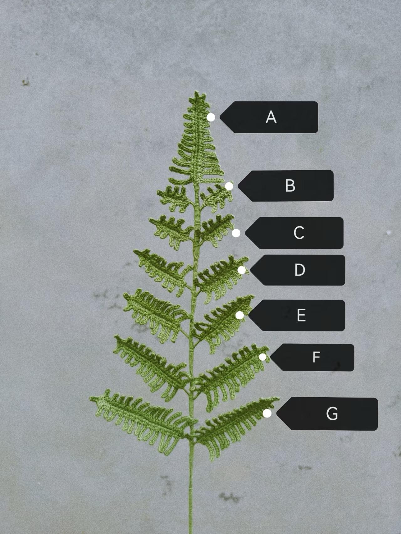 PDF Fern Leaf Crochet Pattern