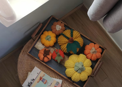 6 in 1 Crochet Pumpkin Pattern, Fall Farmhouse Decor and Halloween Pumpkin Ornament, Large Medium Small Sizes, PDF Download