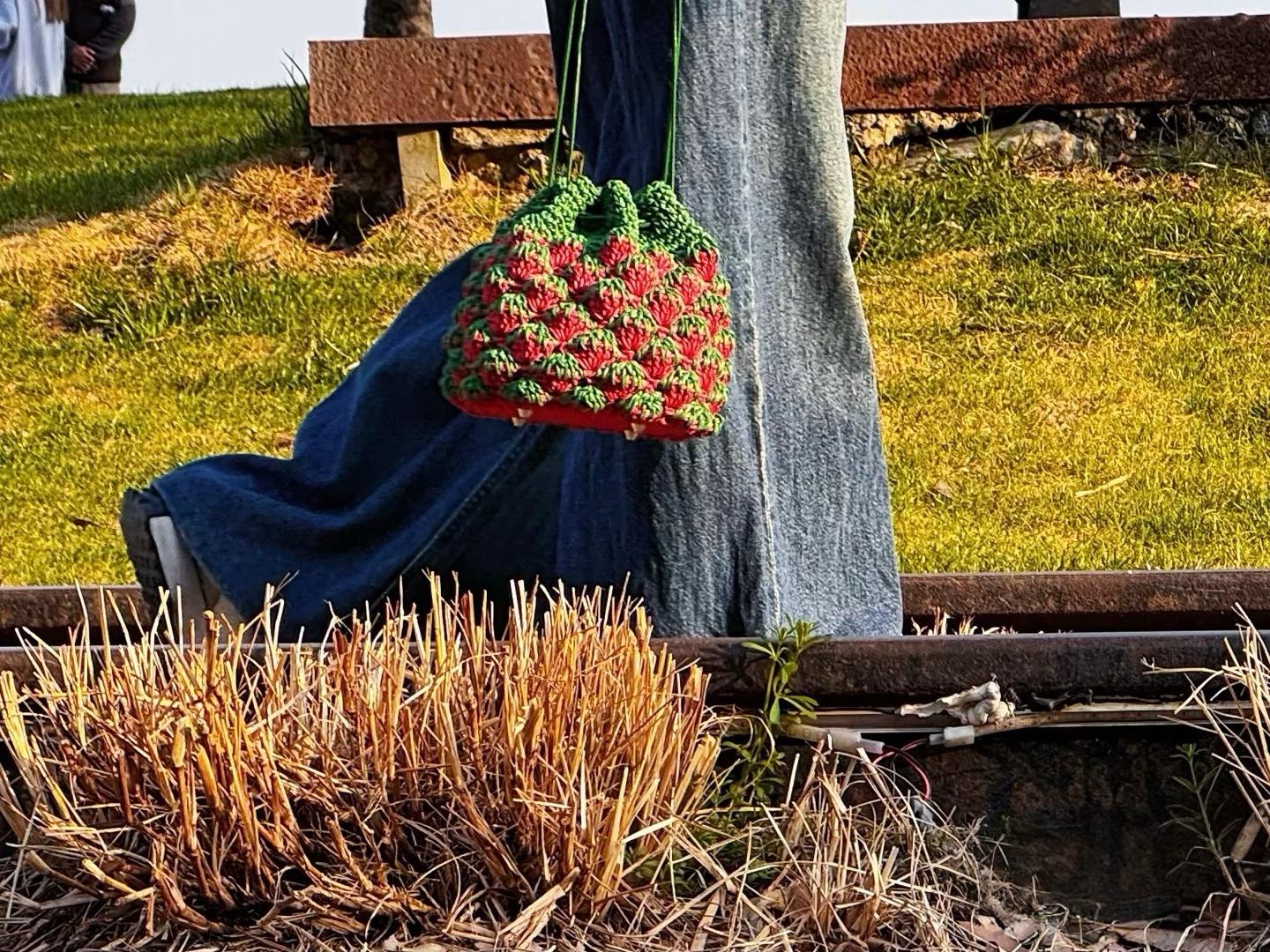 Strawberry Pouch Crochet Pattern – Summer Fruit Handbag PDF