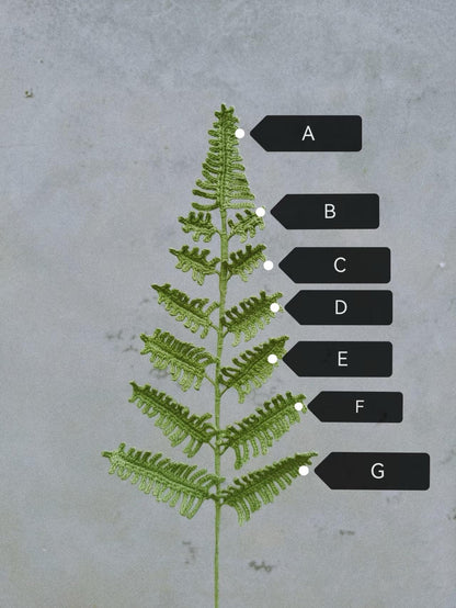 PDF Fern Leaf Crochet Pattern