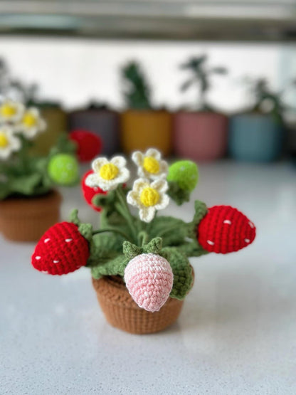 PDF Crochet Pattern, Strawberry Potted Plant Crochet Pattern