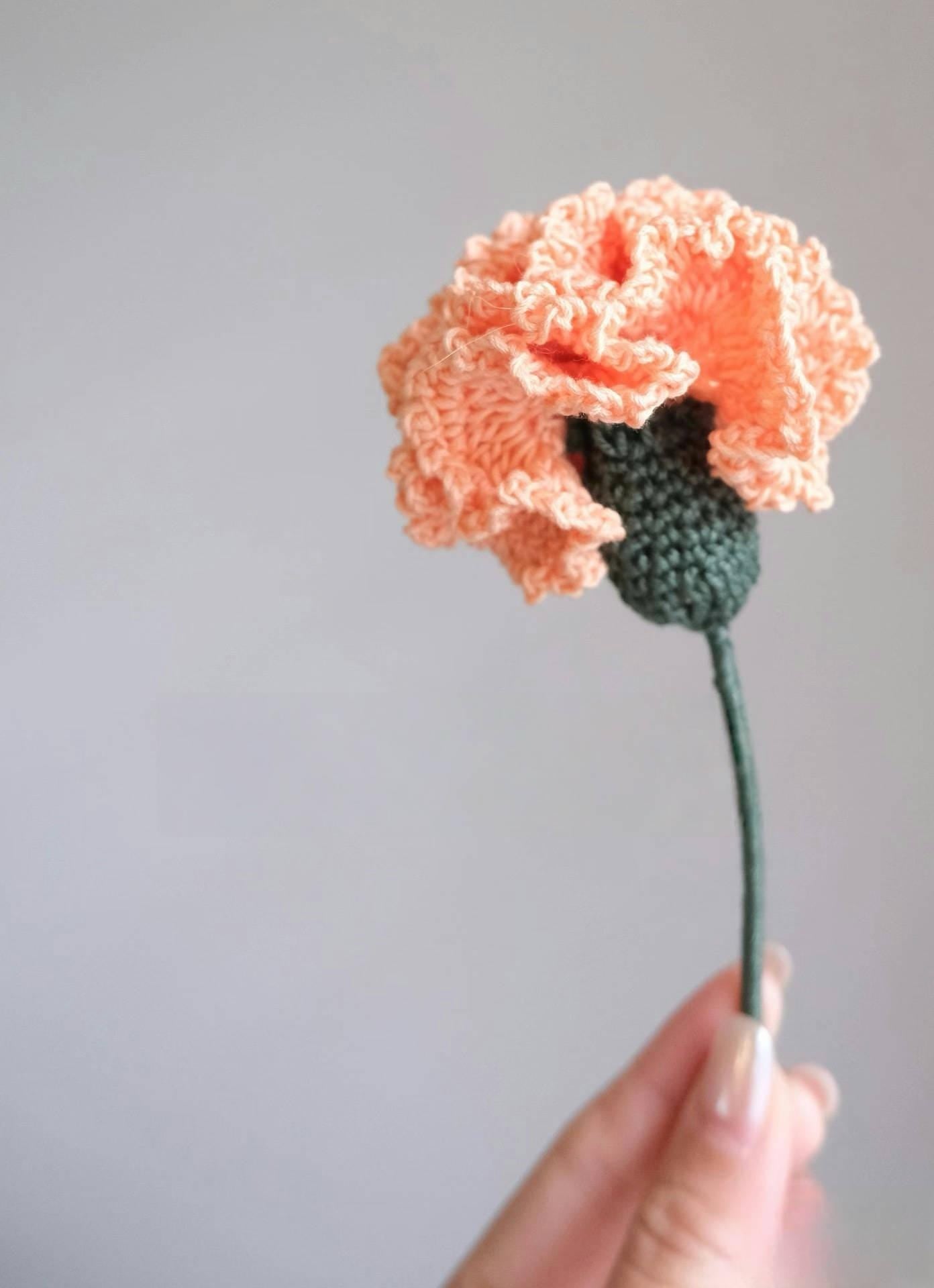 PDF Carnation  Flower Crochet Pattern