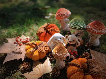 Crochet Pattern, mushrooms Instant  Download PDF
